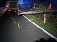 Na projíždějící vozidlo spadl strom