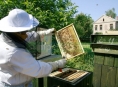 Včelaři mohou počítat s podporou