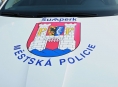 Opilého řidiče zastavili šumperští strážnici městské policie