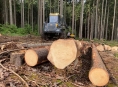 Lesy ČR vyřizují poslední žádosti lidí postižených tornádem