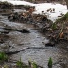  Na Moravě klesají průtoky v řekách    zdroj foto: Povodí Moravy