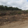Příprava ploch pro výsadbu palmy olejné na Nové Guineji  zdroj foto: upol - Ladislav Bocák
