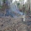 Vypalování pralesa pro potřeby místních obyvatel v centrálním Kamerunu  zdroj foto: upol - Ladislav Bocák
