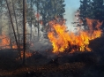 S požárem lesa se potýkalo sedmdesát hasičů a vrtulník