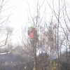 Dolany - požár lesa                        zdroj foto: HZS OLK