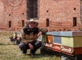 Z fortu Tafelberg v areálu FN Olomouc létá pro nektar šestnáct včelstev