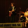 Jerguš Oravec Trio         zdroj:dk