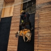 Kynologové trénovali se psy na cvičné věži na šumperské stanici   zdroj foto: HZS OLK