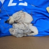 Záchrana čapích mláďat v Rapotíně    zdroj foto: HZS OLK