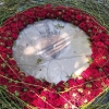 Festival Vyznání růžím v olomouckém rozáriu  zdroj foto: VFO
