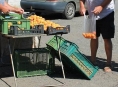 ČOI kontrolovala prodej ovoce a zeleniny u moravských silnic 