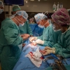 Urologové z FN Olomouc poprvé využili při odběru ledviny od žijícího dárce robotický systém  zdroj foto: FNOL