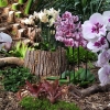 Stovky orchidejí zaplnily sbírkové skleníky   zdroj foto: VFO - M. Poláček