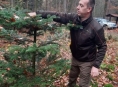 Lesníci začali rozvážet vánoční stromky darované dětem