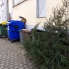 Vánoční strom u kontejnerů na tříděný odpad    zdroj foto:mus