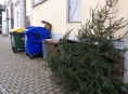 Použité stromy lze v Šumperku odkládat k tříděnému odpadu