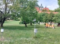 Letošní léto bylo v Olomouci nejteplejší v historii