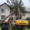 Jeseničtí hasiči odstranili mohutný strom    zdroj foto: HZS OLK
