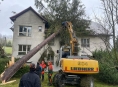 FOTO: Jeseničtí hasiči odstranili mohutný strom