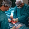 Transplantaci allogenního kostního štěpu v léčbě rozsáhlých post-sternotomických defektů využili olomoučtí kardiochirurgové poprvé v roce 2011  zdroj foto: archiv FNOL