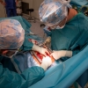 Transplantaci allogenního kostního štěpu v léčbě rozsáhlých post-sternotomických defektů využili olomoučtí kardiochirurgové poprvé v roce 2011  zdroj foto: archiv FNOL