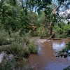 Z rozbouřené Moravy hasiči zachránili deset vodáků   zdroj foto: HZS OLK