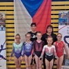 MČR ve sportovní gymnastice    zdroj foto: oddíl