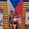 MČR ve sportovní gymnastice    zdroj foto: oddíl