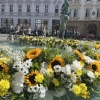 Arionovu kašnu v centru Olomouce rozzářilo tisíce květin   zdroj foto: VFO