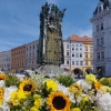 Arionovu kašnu v centru Olomouce rozzářilo tisíce květin   zdroj foto: VFO