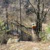 Nebezpečné stromy u frekventovaných turistických tras