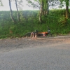 havárie Jakubovice                    zdroj foto: PČR