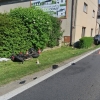 Střet auta s motorkou v Libivé