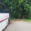 DN autobus                          zdroj foto: PČR