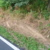 DN Police                            zdroj foto: PČR