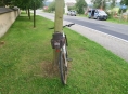 Řidič ve Velkých Losinách přehlédl cyklistku