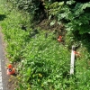 DN Hanušovice                    zdroj foto: PČR