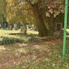 Hřbitov Neředín                        zdroj foto: PČR