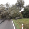 zásah hasičů zdroj foto: HZS OLK