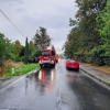 DN Velké Losiny                  zdroj foto: PČR