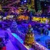 Flora Olomouc opět rozzářila podzim barvami   zdroj foto: OLK - D. Schulz