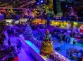 Flora Olomouc opět rozzářila podzim barvami