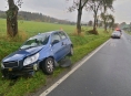 Řidička v Hrabišíně se lekla srny