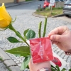 Dobrovolnické centrum poděkovalo zdravotníkům zdroj foto: FNOL