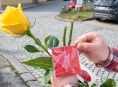 Dobrovolnické centrum poděkovalo zdravotníkům