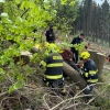 Hasiči a záchranáři pomohli zraněnému lesnímu dělníkovi zdroj foto: HZS OLK