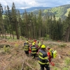 Hasiči a záchranáři pomohli zraněnému lesnímu dělníkovi zdroj foto: HZS OLK
