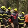 Hasiči a záchranáři pomohli zraněnému lesnímu dělníkovi zdroj foto: HZS OLK