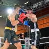 mistrovství České republiky v boxu    zdroj foto: Česká boxerská asociace, z.s.