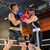 mistrovství České republiky v boxu    zdroj foto: Česká boxerská asociace, z.s.